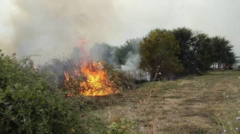 Πυρκαγιά καίει θαμνώδη βλάστηση στο Λιβάδι Κέρκυρας